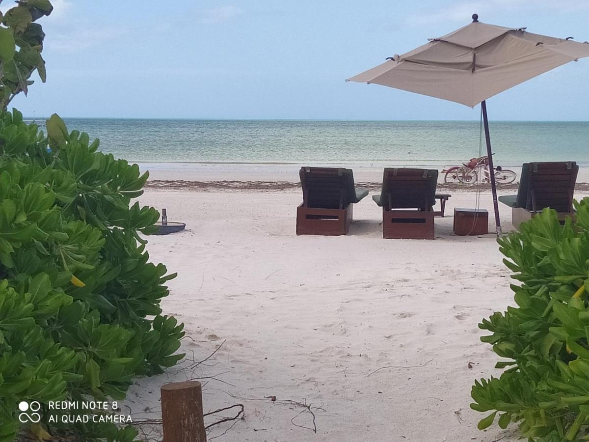 Mi Habitat Holbox-Maravilla Natural 外观 照片