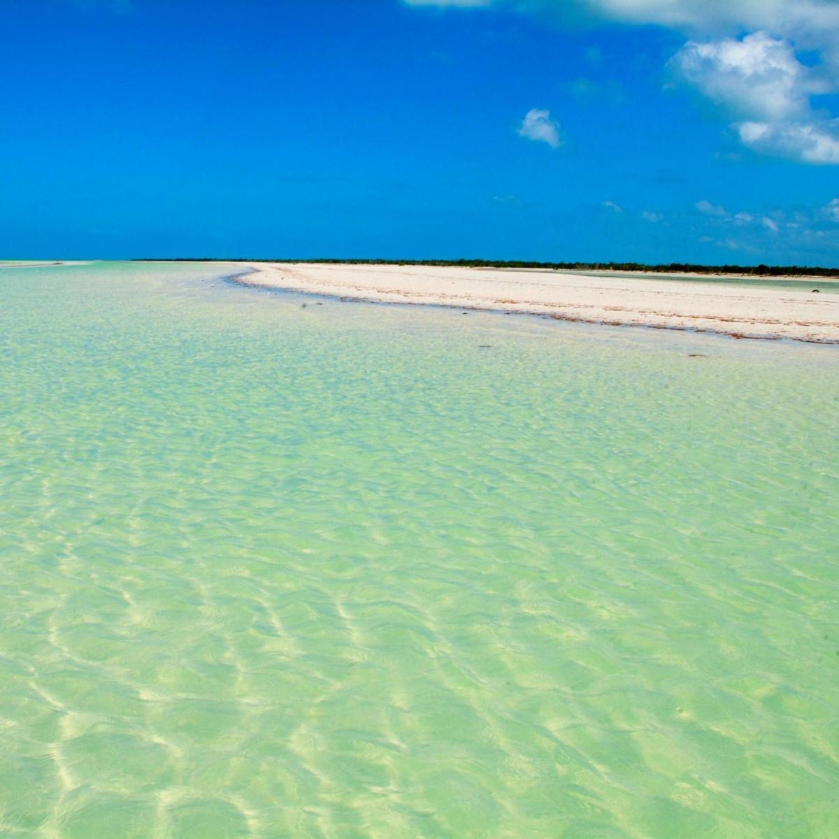 Mi Habitat Holbox-Maravilla Natural 外观 照片