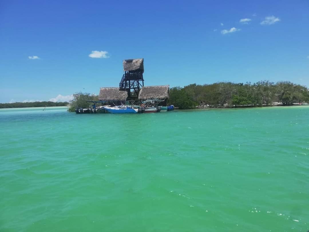 Mi Habitat Holbox-Maravilla Natural 外观 照片
