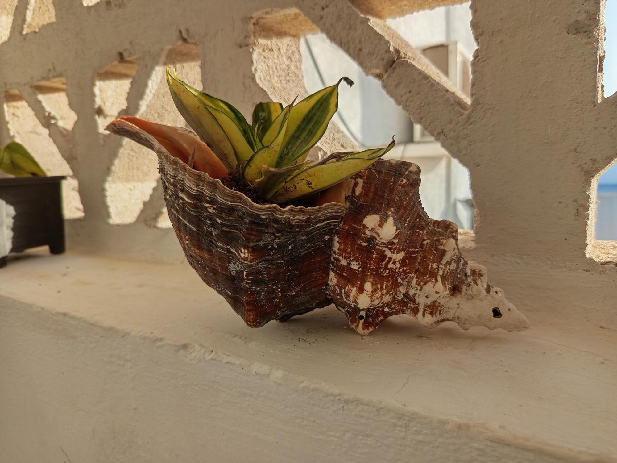 Mi Habitat Holbox-Maravilla Natural 外观 照片