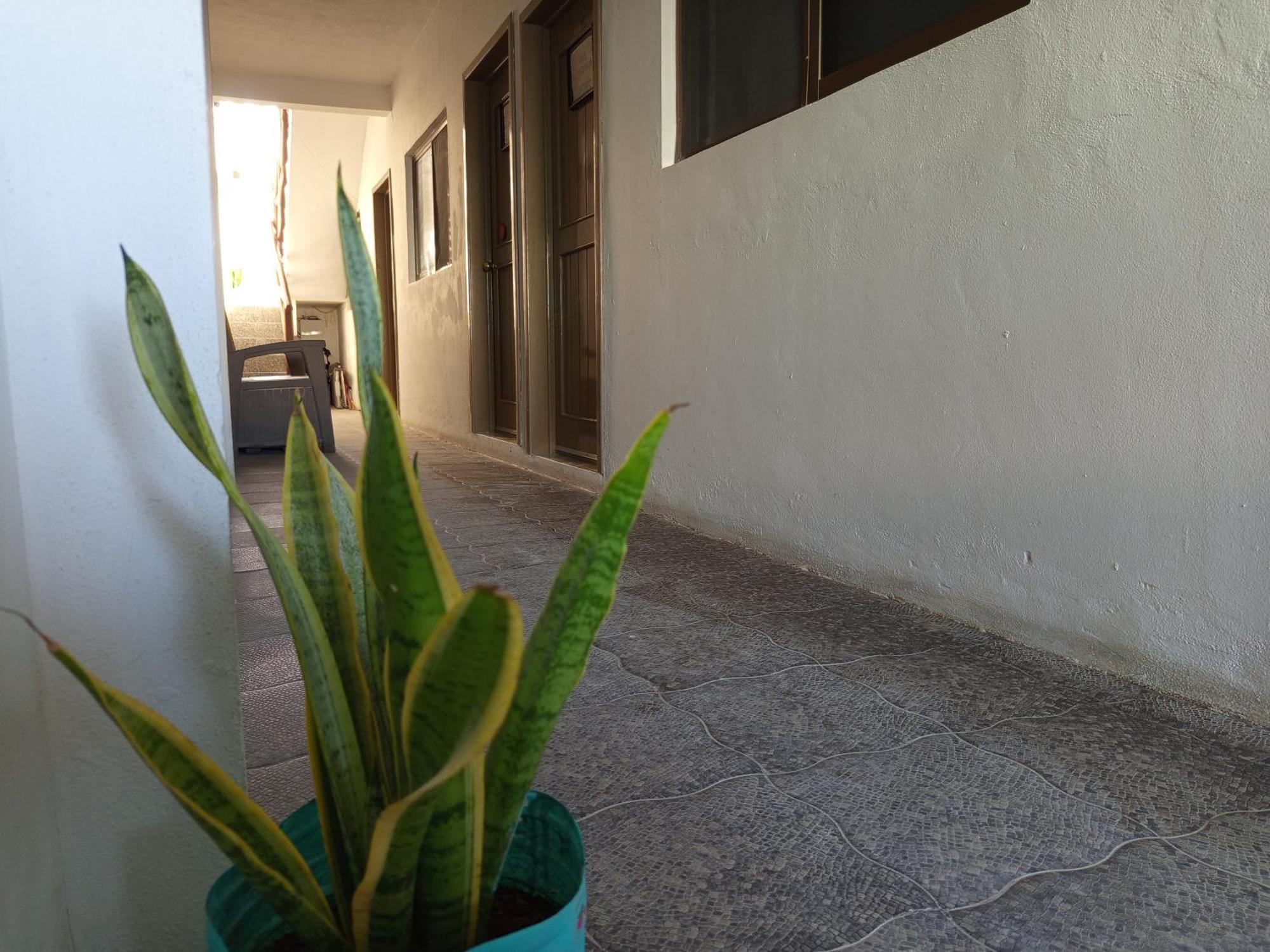 Mi Habitat Holbox-Maravilla Natural 外观 照片