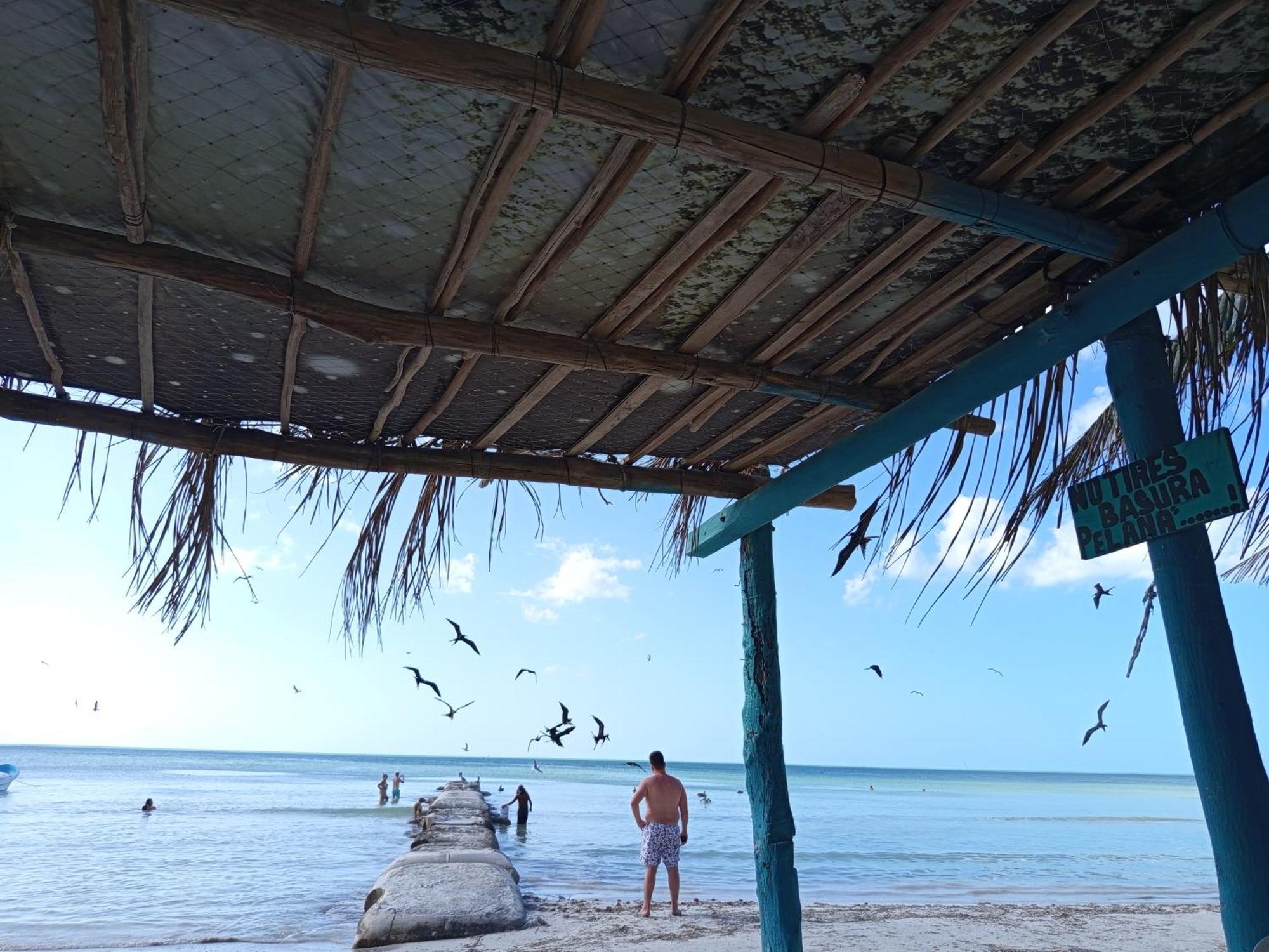 Mi Habitat Holbox-Maravilla Natural 外观 照片